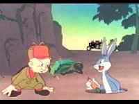 Wabbit Hole
